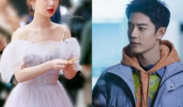 扒叔大爆料杨紫肖战视频,扒叔大爆料背后的真相揭晓