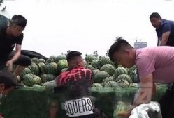 成县吃瓜网红事件真相视频,真相视频曝光背后的真相